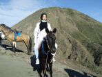 kuda-bromo_20171113_125139.jpg