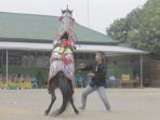 kuda-renggong_20181002_185542.jpg