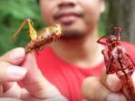 kuliner-belalang-goreng.jpg