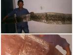 kulit-reptil_20160314_230121.jpg