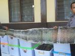 kulit-ular-dan-biawak_20160315_162324.jpg<pf>kulit-ular-dan-biawak_20160315_162203.jpg<pf>kulit-ular-dan-biawak_20160315_161606.jpg
