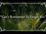 kunci-gitar-dengan-lirik-lagu-cant-remember-to-forget-you-shakira-feat-rihanna.jpg