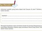 kunci-jawaban-asmdmasdsad45646546546.jpg