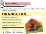 kunci-jawaban-bahasa-inggris-kelas-9-halaman-53-kurikulum-merdeka-orangutan-and-gorilla.jpg