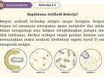 kunci-jawaban-biologi-kelas-11-halaman-135-dan-136-kurikulum-merdeka.jpg