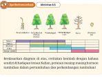kunci-jawaban-biologi-kelas-11-halaman-256-kurikulum-merdeka.jpg