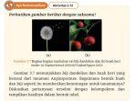 kunci-jawaban-biologi-kelas-11-halaman-81-kurikulum-merdeka.jpg