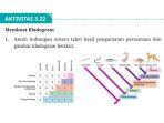 kunci-jawaban-biologi-kelas-12-halaman-165-kurikulum-merdeka-membuat-kladogram.jpg