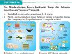 kunci-jawaban-biologi-kelas-12-halaman-187-kurikulum-merdeka.jpg