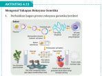 kunci-jawaban-biologi-kelas-12-halaman-209-kurikulum-merdeka.jpg