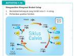 kunci-jawaban-biologi-kelas-12-halaman-38-kurikulum-merdeka-reaksi-gelap.jpg