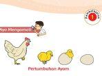 kunci-jawaban-buku-tematik-tema-1-kelas-3-sd-halaman-100.jpg