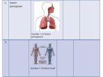 kunci-jawaban-ipa-kelas-7-smp-halaman-20-dan-21-semester-2-sistem-organ-manusia.jpg