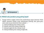 kunci-jawaban-ipa-kelas-8-smp-halaman-66-67-dan-68.jpg