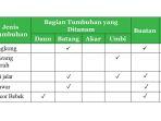 kunci-jawaban-ipa-kelas-9-smp-halaman-54.jpg