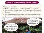kunci-jawaban-ipas-kelas-3-halaman-11-12-13-kurikulum-merdeka.jpg