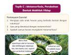 kunci-jawaban-ipas-kelas-3-sd-halaman-45-kurikulum-merdeka.jpg