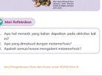 kunci-jawaban-ipas-kelas-3-sd-halaman-48-49-kurikulum-merdeka.jpg