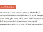 kunci-jawaban-ipas-kelas-4-halaman-54-kurikulum-merdeka.jpg