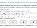 kunci-jawaban-ipas-kurikulum-merdeka-kelas-5-halaman-43.jpg