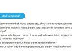 kunci-jawaban-ipas-kurikulum-merdeka-kelas-5-halaman-47.jpg