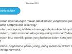 kunci-jawaban-ipas-kurikulum-merdeka-kelas-5-halaman-53.jpg