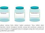kunci-jawaban-ipas-kurikulum-merdeka-kelas-5-halaman-57-58.jpg