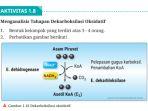 kunci-jawaban-mata-pelajaran-biologi-kelas-12-smama-halaman-21-22-kurikulum-merdeka.jpg