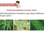 kunci-jawaban-tema-1-kelas-3-sd-halaman-175-176-178-subtema-4-perkembangbiakan-dengan-spora.jpg