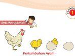 kunci-jawaban-tema-1-kelas-3-sd-halaman-99-100-101-102-105-107-subtema-3-pembelajaran-1.jpg