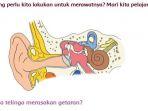 kunci-jawaban-tema-1-kelas-4-sd-halaman-77-78-79-81-82-84-85-subtema-2-tematik.jpg