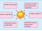 kunci-jawaban-tema-2-kelas-4-sd-halaman-5.jpg