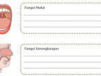 kunci-jawaban-tema-3-kelas-5-sd-halaman-36-dan-37-fungsi-mulut-kerongkongan-lambung-usus.jpg