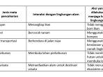 kunci-jawaban-tema-8-kelas-6-halaman-119.jpg
