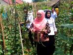 kunjungi-pekarangan-tanaman-hidroponik_20160901_152145.jpg