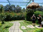 kupu-kupu_20151020_165308.jpg