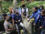 kura-kura-asal-kalimantan-yang-disinyalir-merupakan-satwa-dilindungi.jpg
