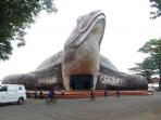 kura-kura-ocean-park_20150626_135725.jpg