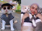 kurang-dari-24-jam-pororo-akhirnya-ditemukan-cici-chania.jpg