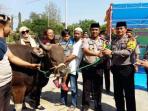 kurban-pemda-pangkep_20150924_152816.jpg