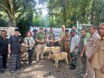 kurban-tamansafari123e.jpg