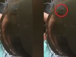 kutu-rambut_20180227_113547.jpg