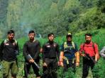 ladang-ganja_20160323_112651.jpg