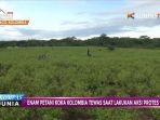 ladang-koka_20171008_133437.jpg