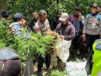 ladangganjasemeru123.jpg