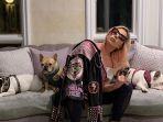 lady-gaga-beserta-ketiga-anjingnya.jpg