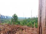 lahan-bekas-terbakar-di-pelalawan_20180928_120756.jpg
