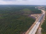 lahan-calon-ibukota-indonesia-di-samboja-kaltim_20190801_085741.jpg