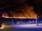 lahan-di-taman-nasional-rawa-aopa-watumohai-terbakar.jpg