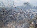 lahan-gambut-di-aceh-jaya-terbakar.jpg